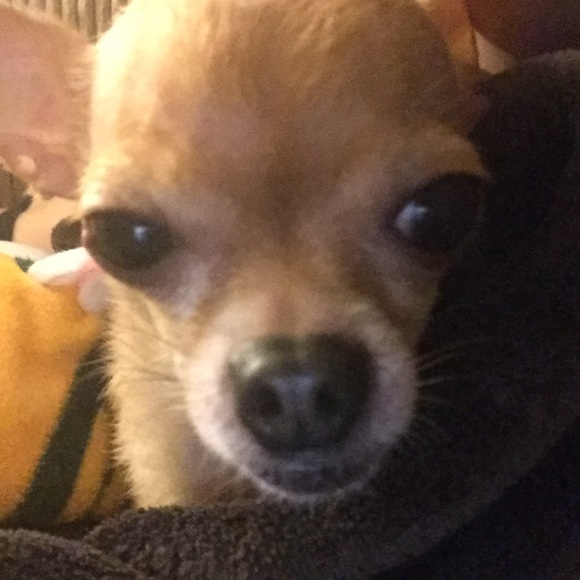 Sale 20% Off Everything Today - Picture 8 of 8